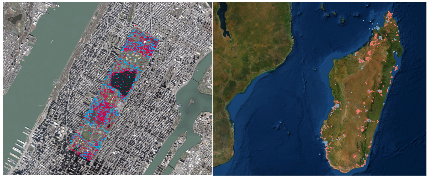 Geographic disparities in species occurrence data.